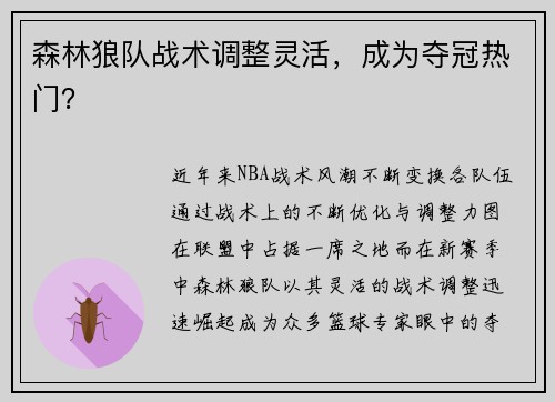 森林狼队战术调整灵活，成为夺冠热门？